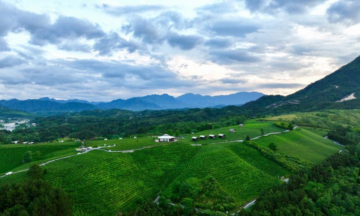 China reports steady consolidation of poverty alleviation gains