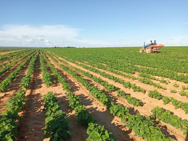 Zimbabwe can draw lessons from China on land tenure security: minister