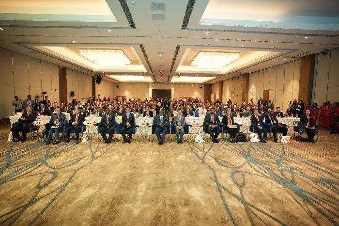 China-Africa cooperation urged to boost livestock sector