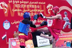 China-Africa Wushu championship opens in Cairo, boosts youth exchange
