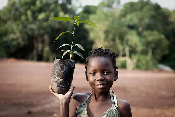 China's Climate Partnership with Africa: Building a Greener Future Together