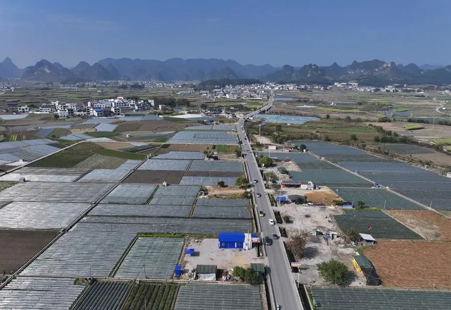 How China is propelling agricultural modernization, rural revitalization