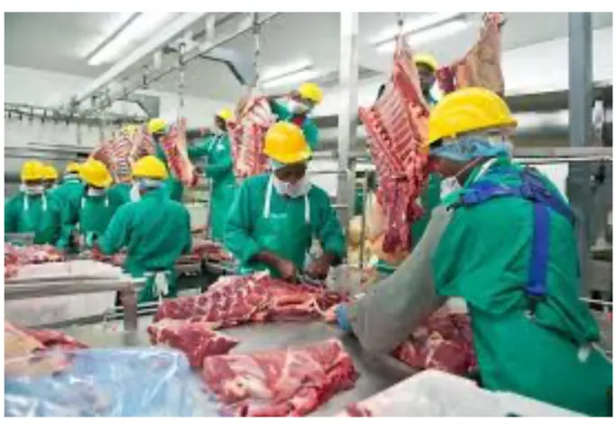 Namibia eyes premium beef niche in China under zero-tariff policy, says Meatco chief