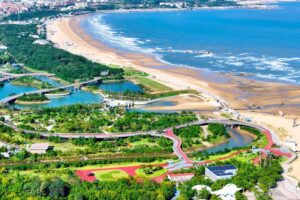 China’s development model offers lessons for developing nations: Malawi FM