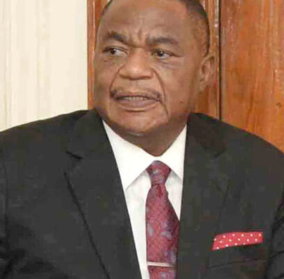 Zimbabwean VP hails Chinese-invested industrial park for boosting industrialization